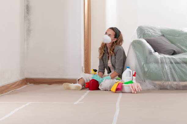 Reliable Black Mold Removal contractor in Dayton, MD by WQB Mold Removal